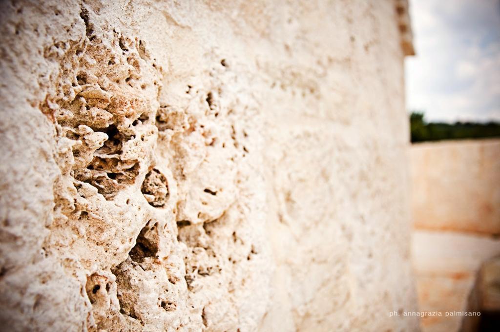 Appartamento Trullo con 1 Camera da Letto